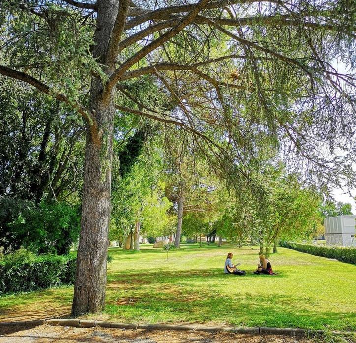 Parc of the University Paul Valéry